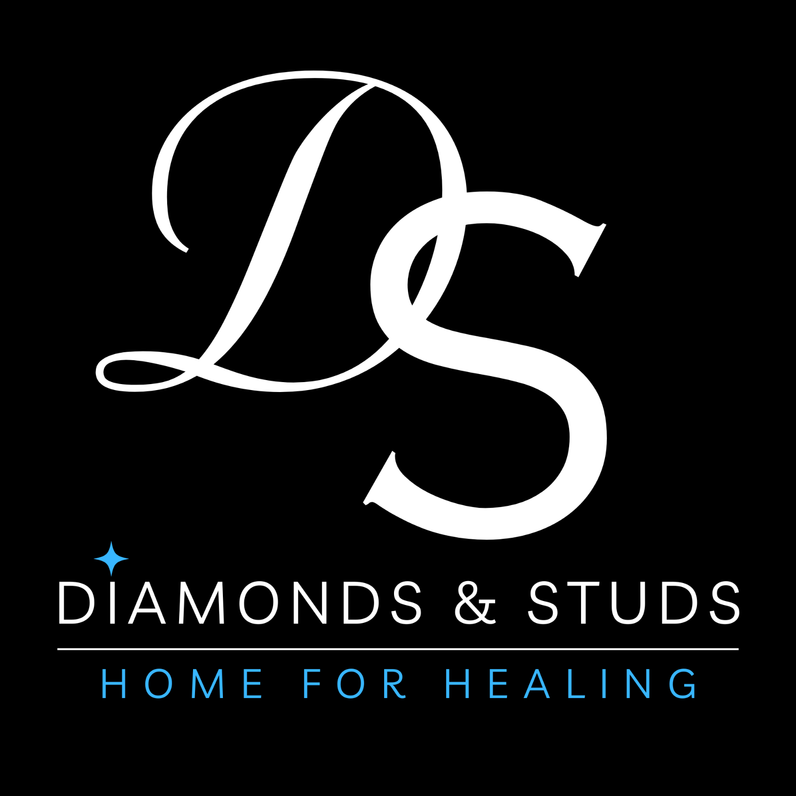 D%26S%20logo%20(9%20x%209%20in).png